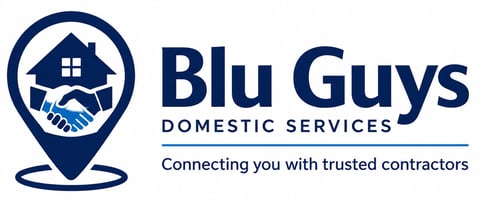 Blu Guys Domestic Services logo